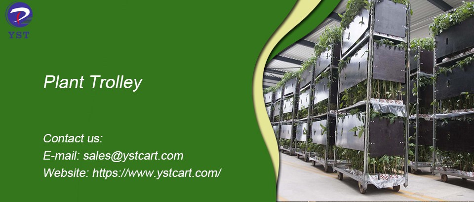 Plant Trolley-1 Plant Trolley-1