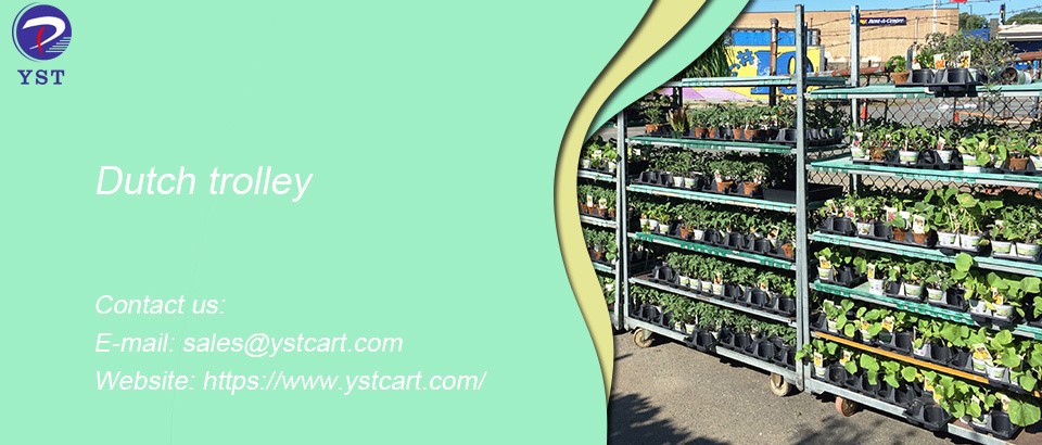 Dutch trolley is used in herbs veggies cultivation-1 Dutch trolley is used in herbs veggies cultivation-1