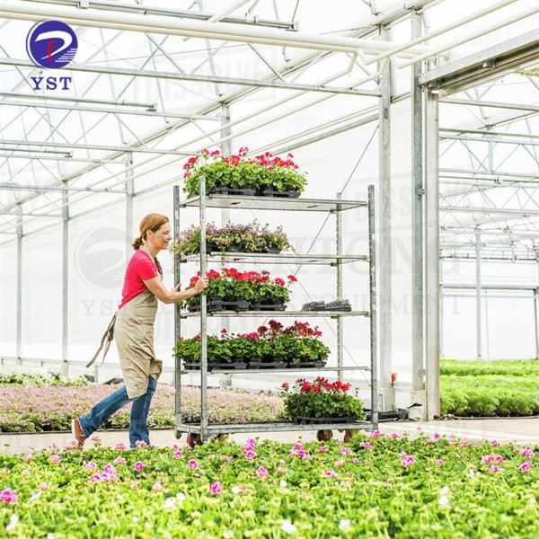 Danish Plant Nursery Flower Trolley