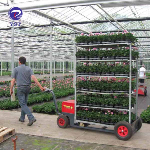 Flower Cart Trolley