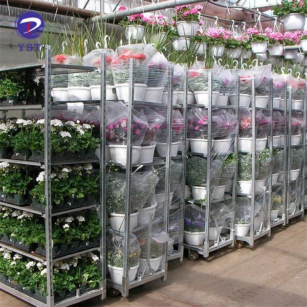 Flower Plant Transport Trolley