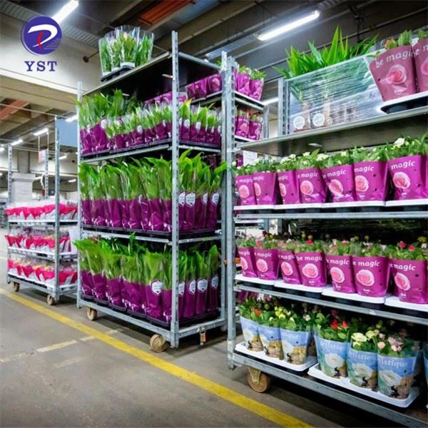 Flower Plant Transport Trolley