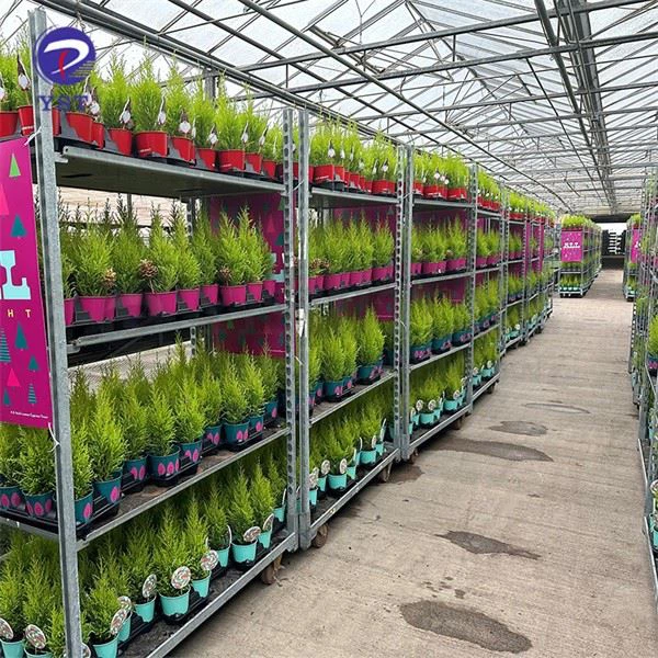 Metal Garden Nursery Cart