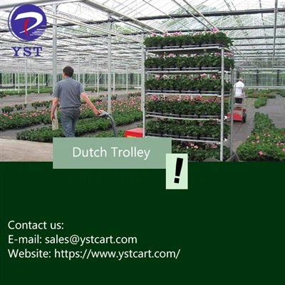 Incrementa la raccolta dei fiori con il carrello olandese: consigli e suggeri...