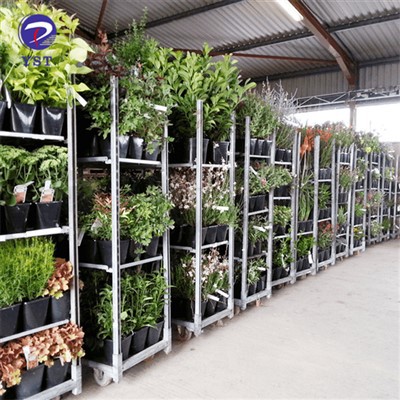 Carrello allattamento per fiori