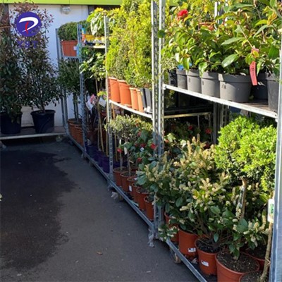 Carrello per vivaio da giardino in metallo