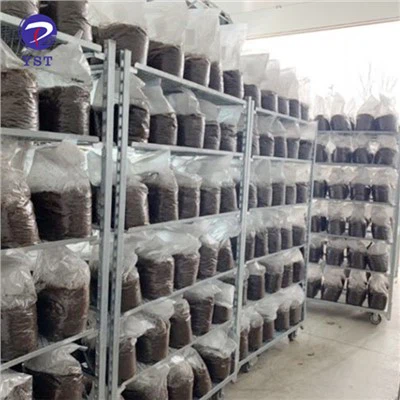 Supporto per la coltivazione dei funghi