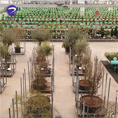 Scaffali per cc per la scuola materna