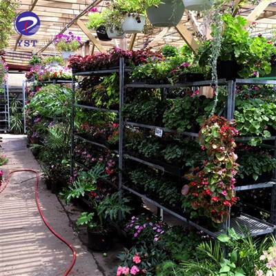 Carrello per fiori da giardino per la scuola materna