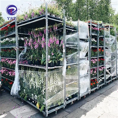 Carrello per il trasporto della scuola materna