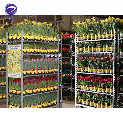 Carrelli metallici rotanti per il trasporto di piante