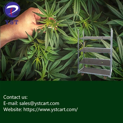 Semplificazione della produzione di cannabis con i carrelli danesi