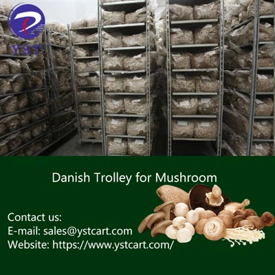 Carrelli danesi: la soluzione ideale per la coltivazione dei funghi