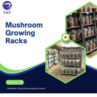 I vantaggi dell'utilizzo di rack in crescita dei funghi