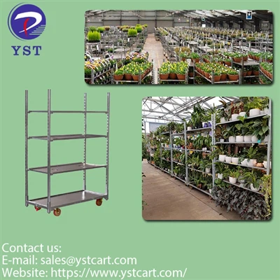 I vantaggi ambientali dell'uso di carrelli danesi nel settore orticola