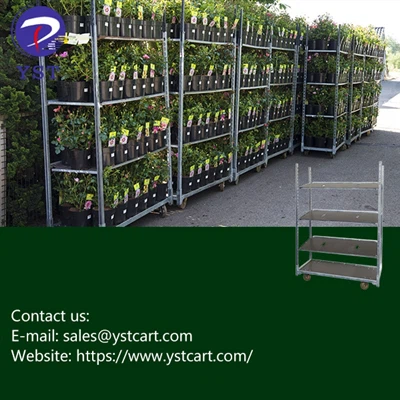 Una soluzione economica alle esigenze di trasporto di Nursery: investire in c...