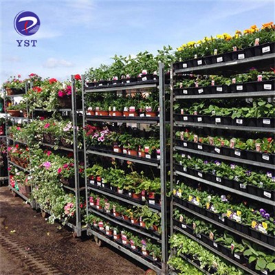 Carrelli Olandesi Per Fiori