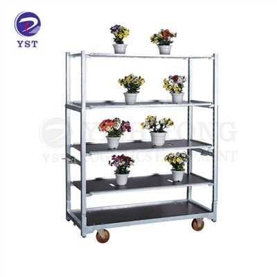 Carrello Danese