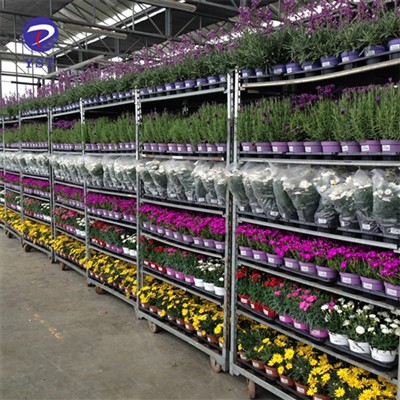 Danese Trolley Carrelli